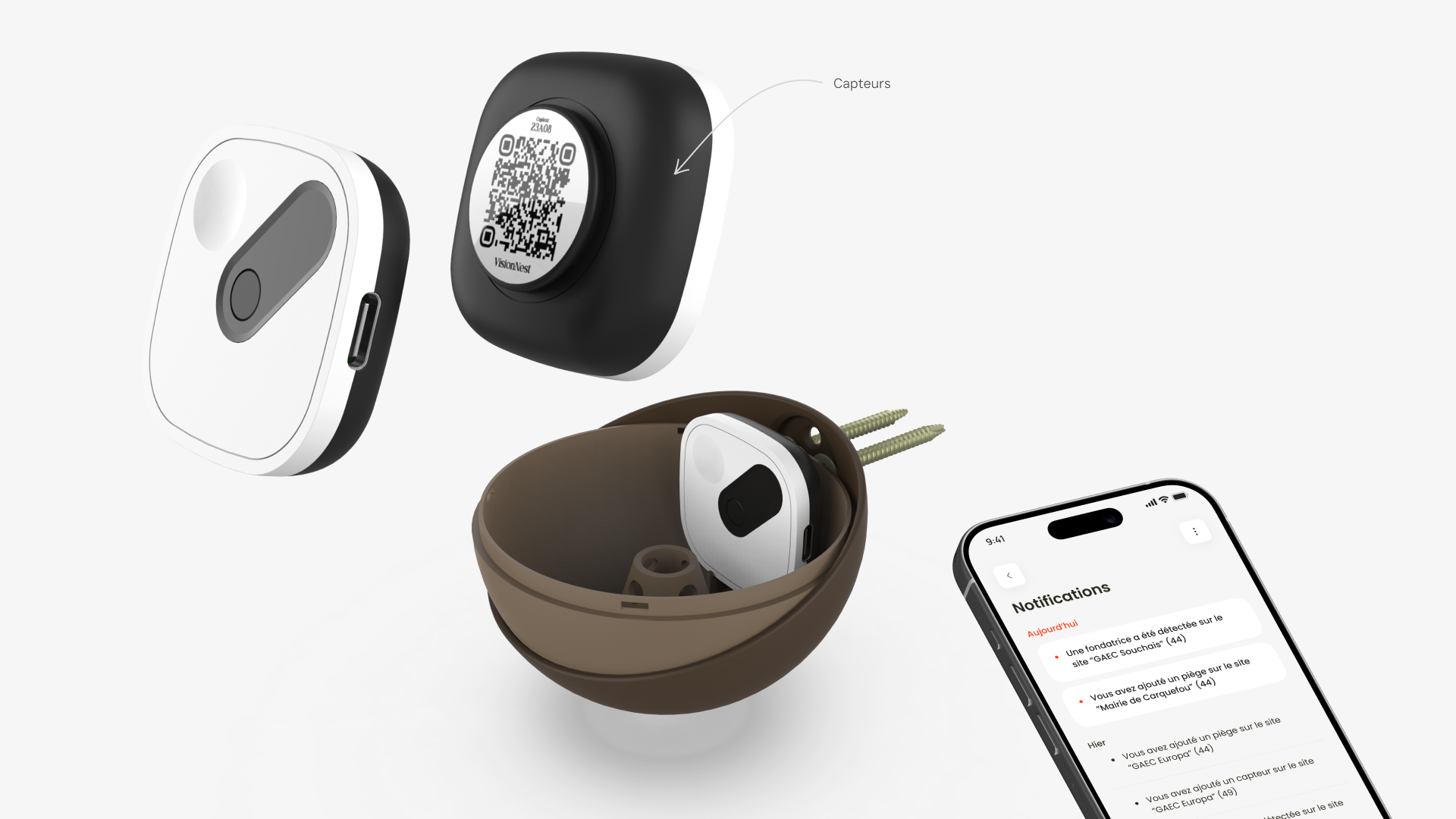 Vision Nest 4