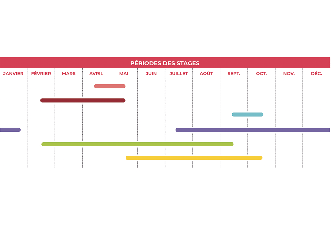 période des stages
