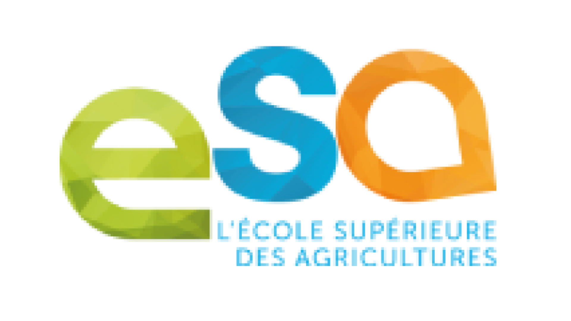 logo esa angers