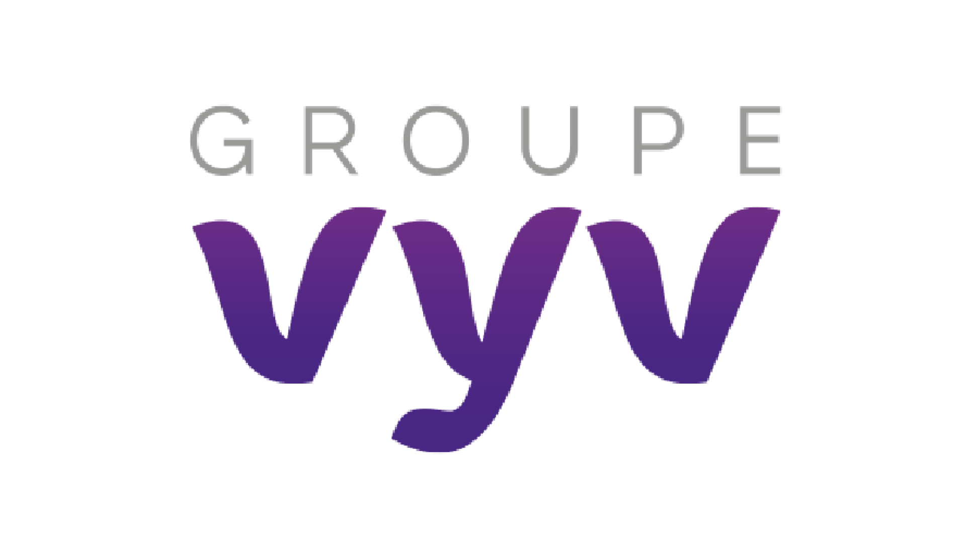 logo vyv