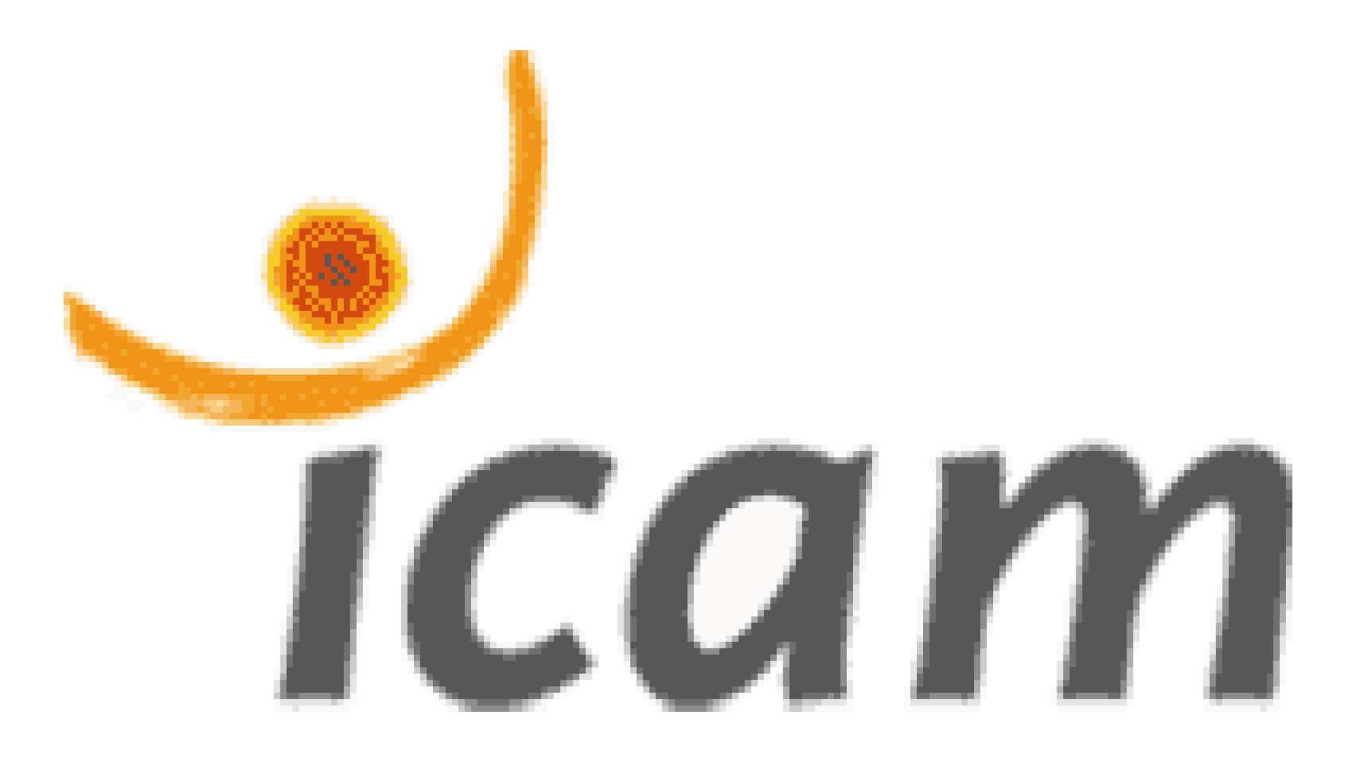 ICAM