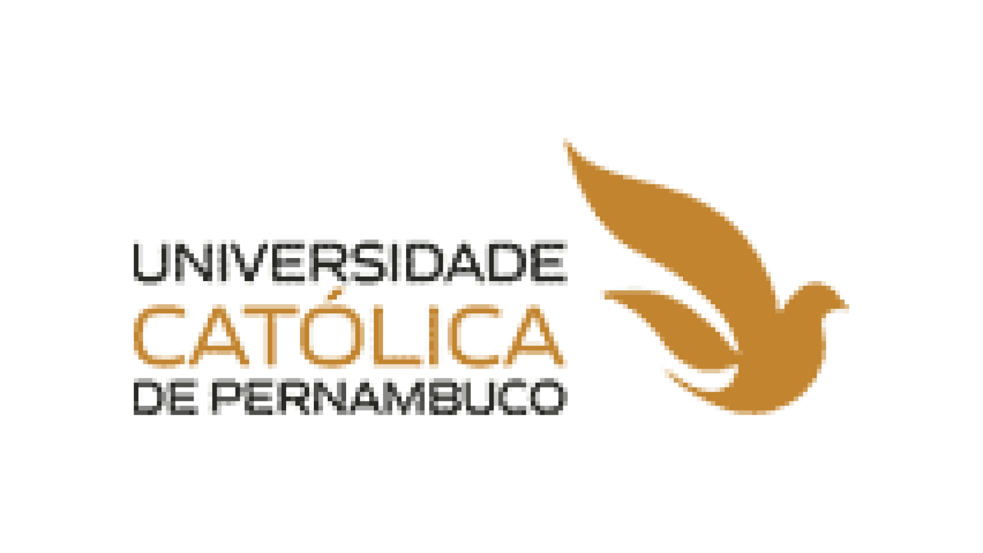 universidade catolica