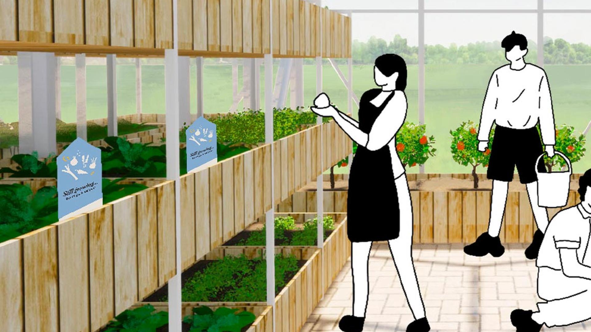 Project: YomFolks - From garden to plate: encouraging younger generations to have a more balanced diet