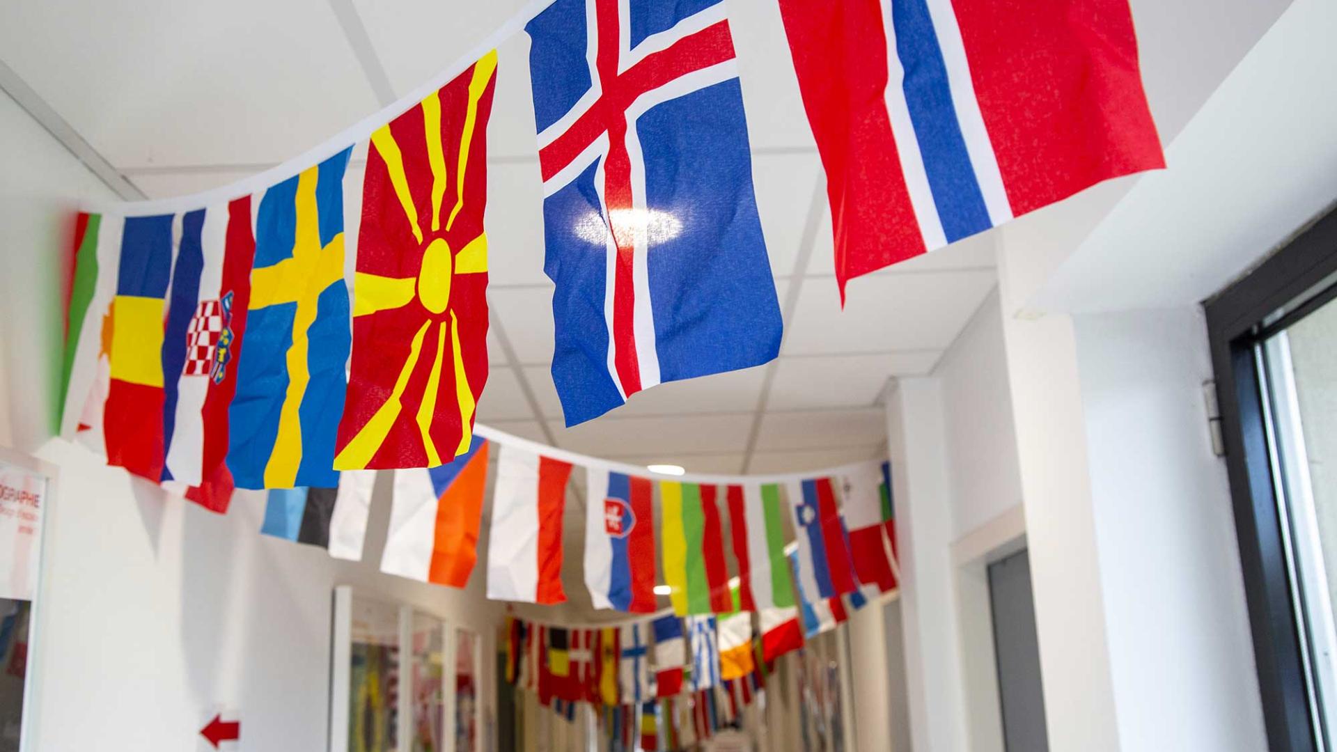 International fair