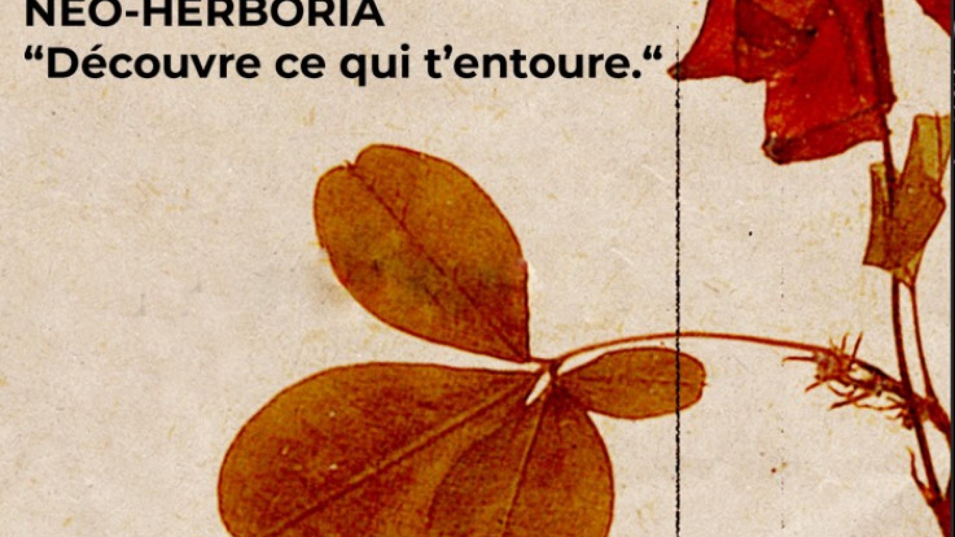 Neo Herboria découvre ce qui t'entoure