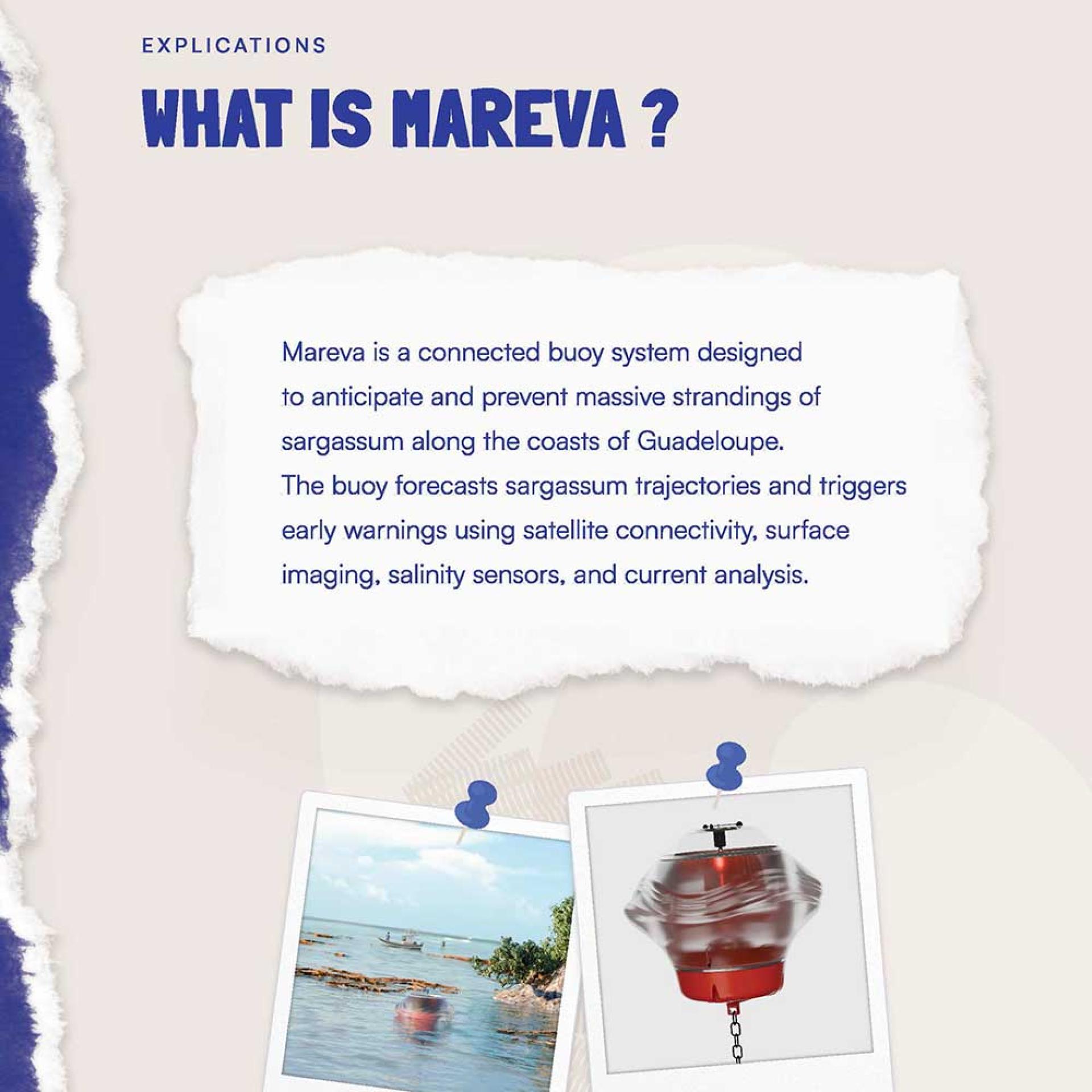 what is mareva