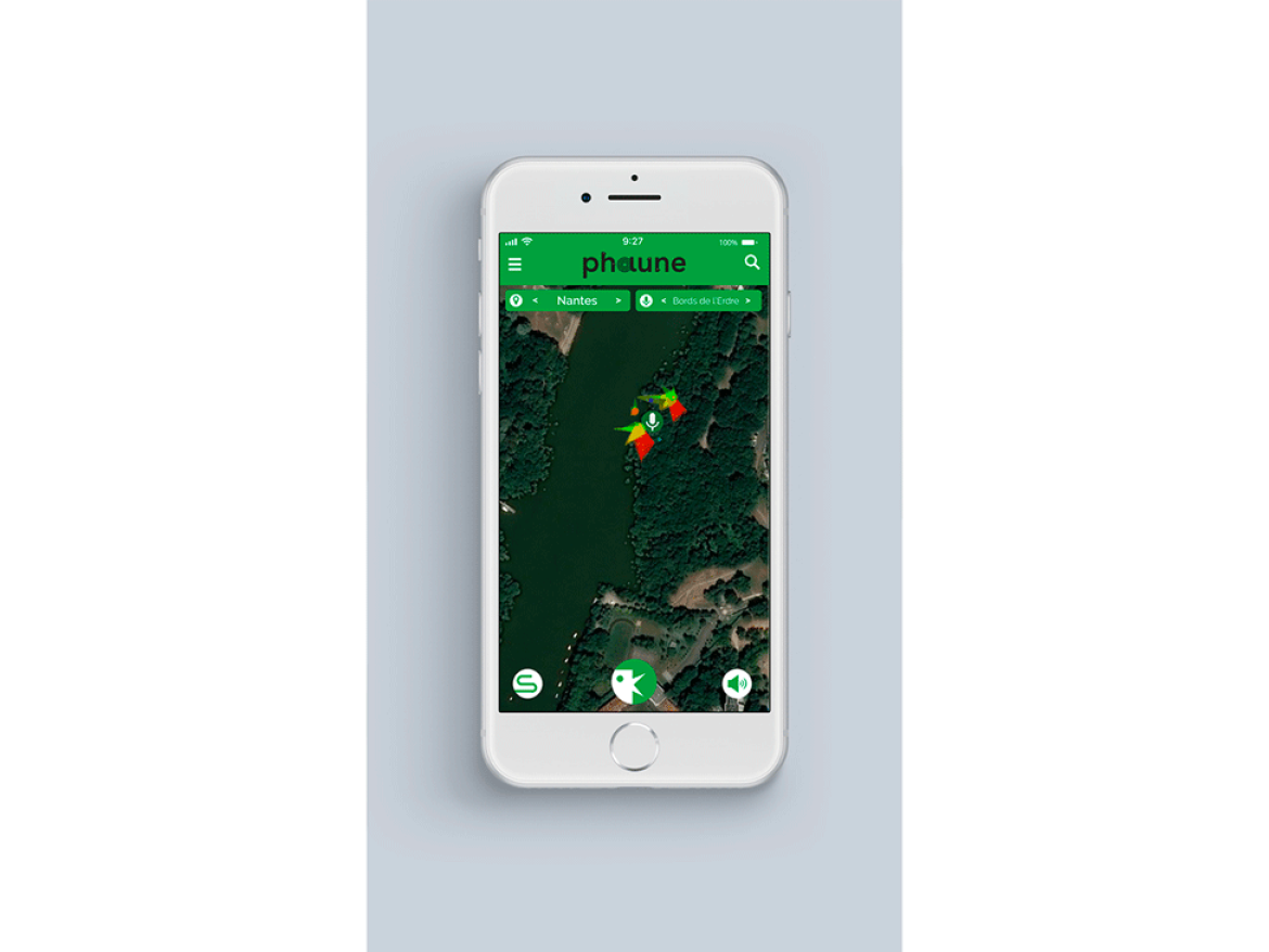 Phaune